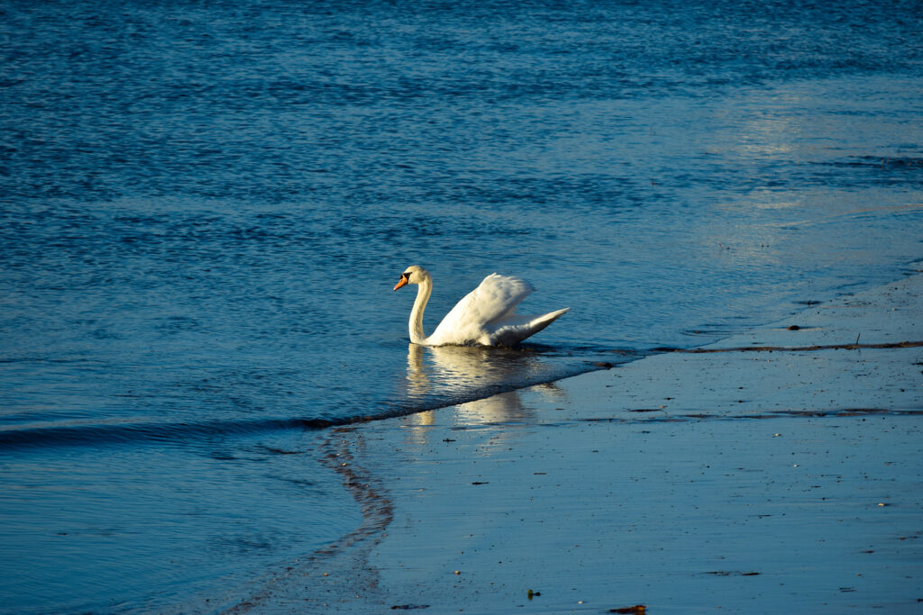 6593dd23 37f3 4029 A017 7a01285395de Rw 1920 1024x683