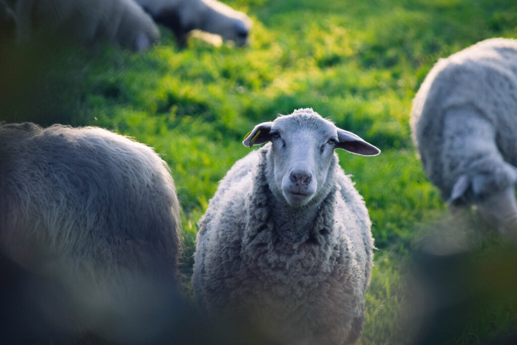 7b0bb680 93a0 492b 83fb 694c0ddb7e74 Rw 1920 1024x683