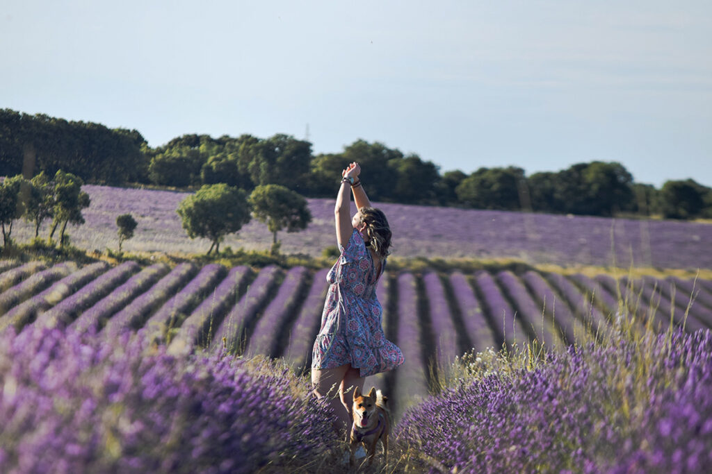 9a8e4bdc F3b6 45d3 962b F06c59b87c7f Rw 1200 1024x683