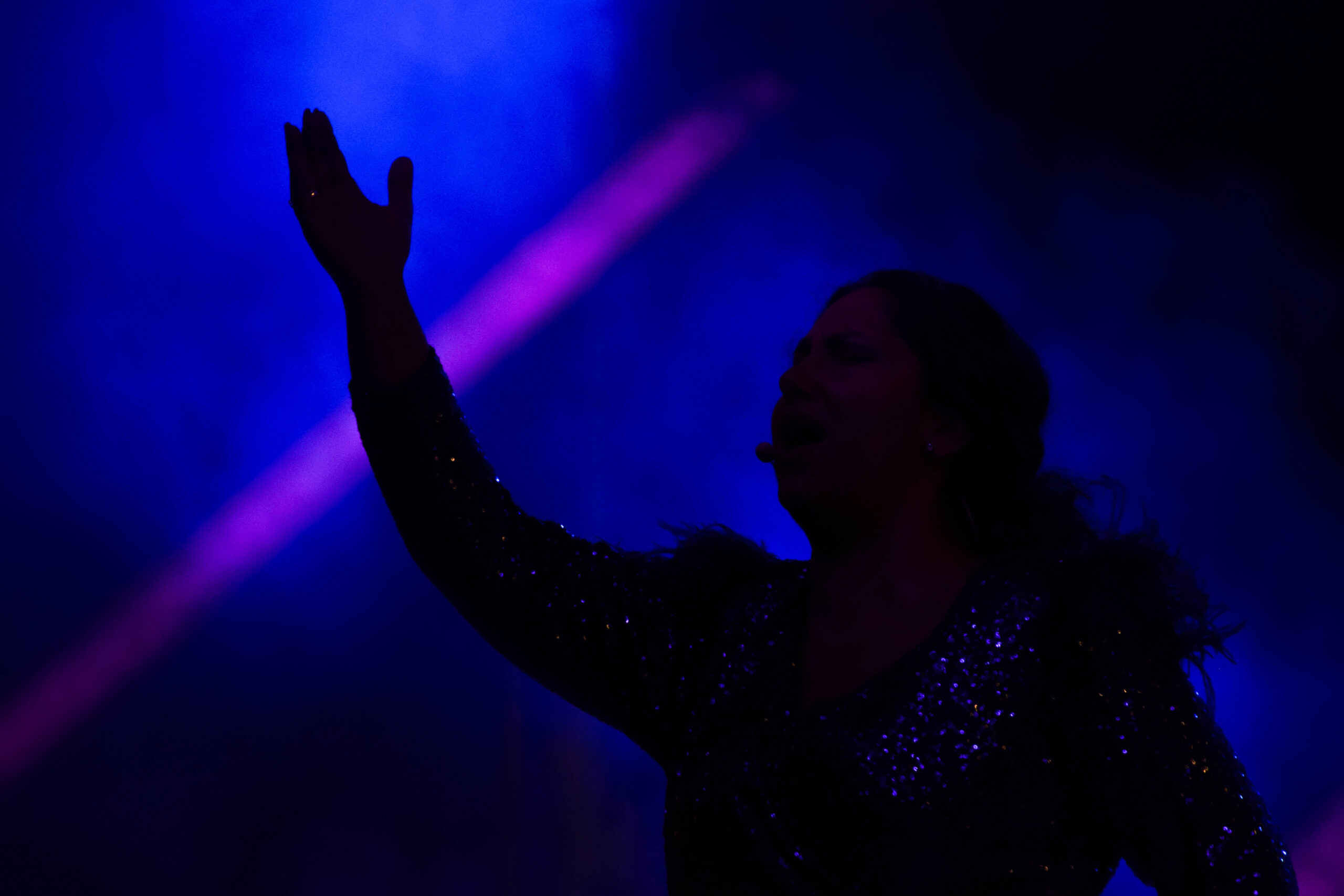 Fotografía de conciertos