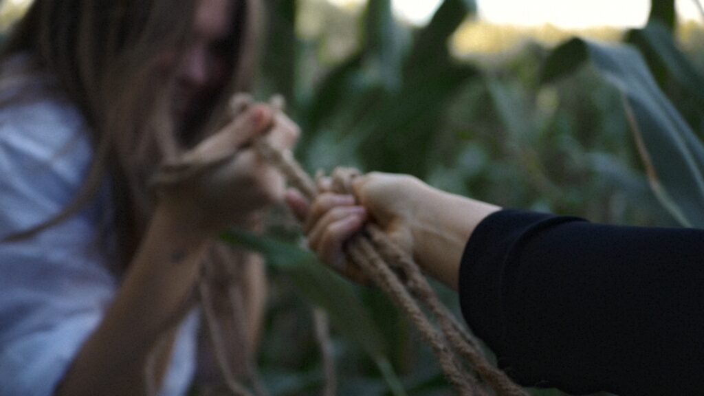 Sin Titulo 1.42.1 1024x576