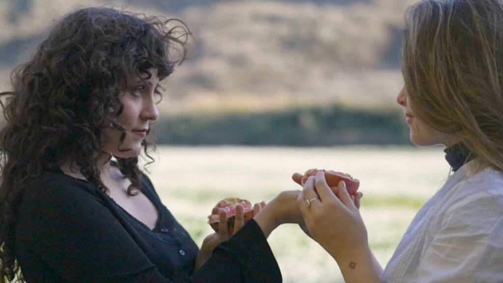 Sin Titulo 1.43.1 1024x576