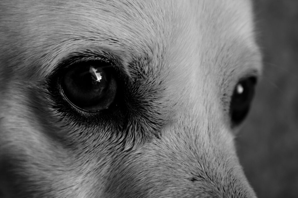 D3510b05 3d0d 4488 Bd30 0e0ba14e14f9 Rw 1920 1024x683