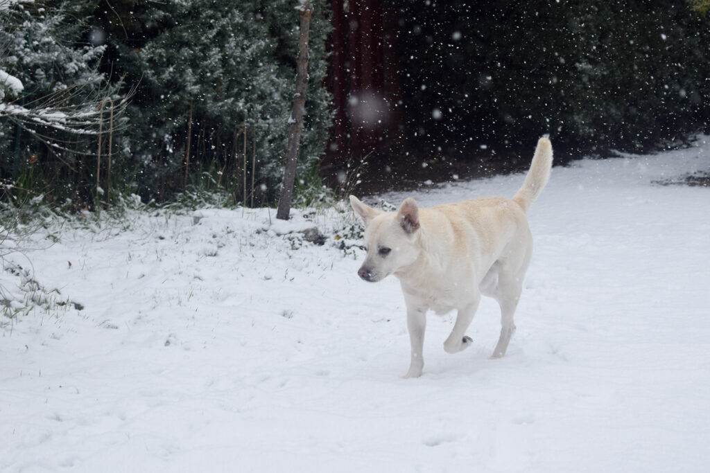 D629bcd9 1a62 4f07 8e1f Da54428f195f Rw 1920 E1761679982701 1024x683