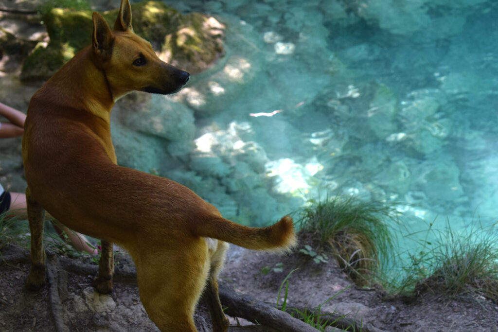 E5bee6f9 8c6f 4edd B516 3d9517c3e27b Rw 1920 E1761679960869 1024x683